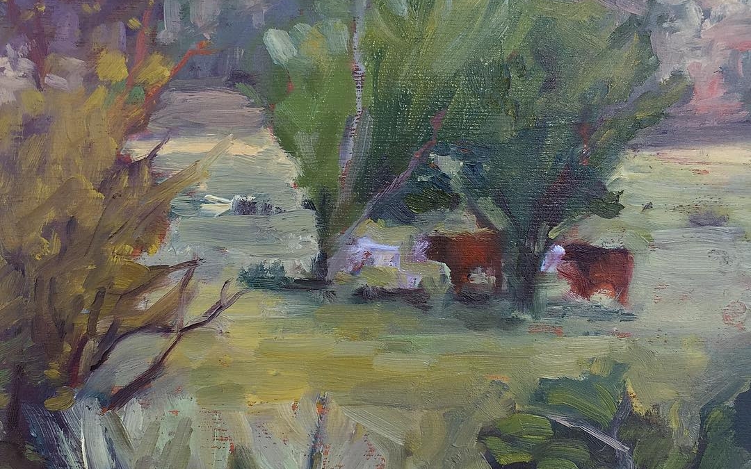 Cows in the shade