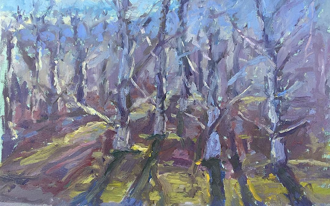 Sun through the orchard