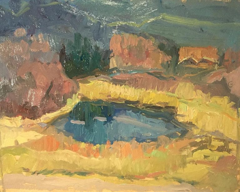 The pond