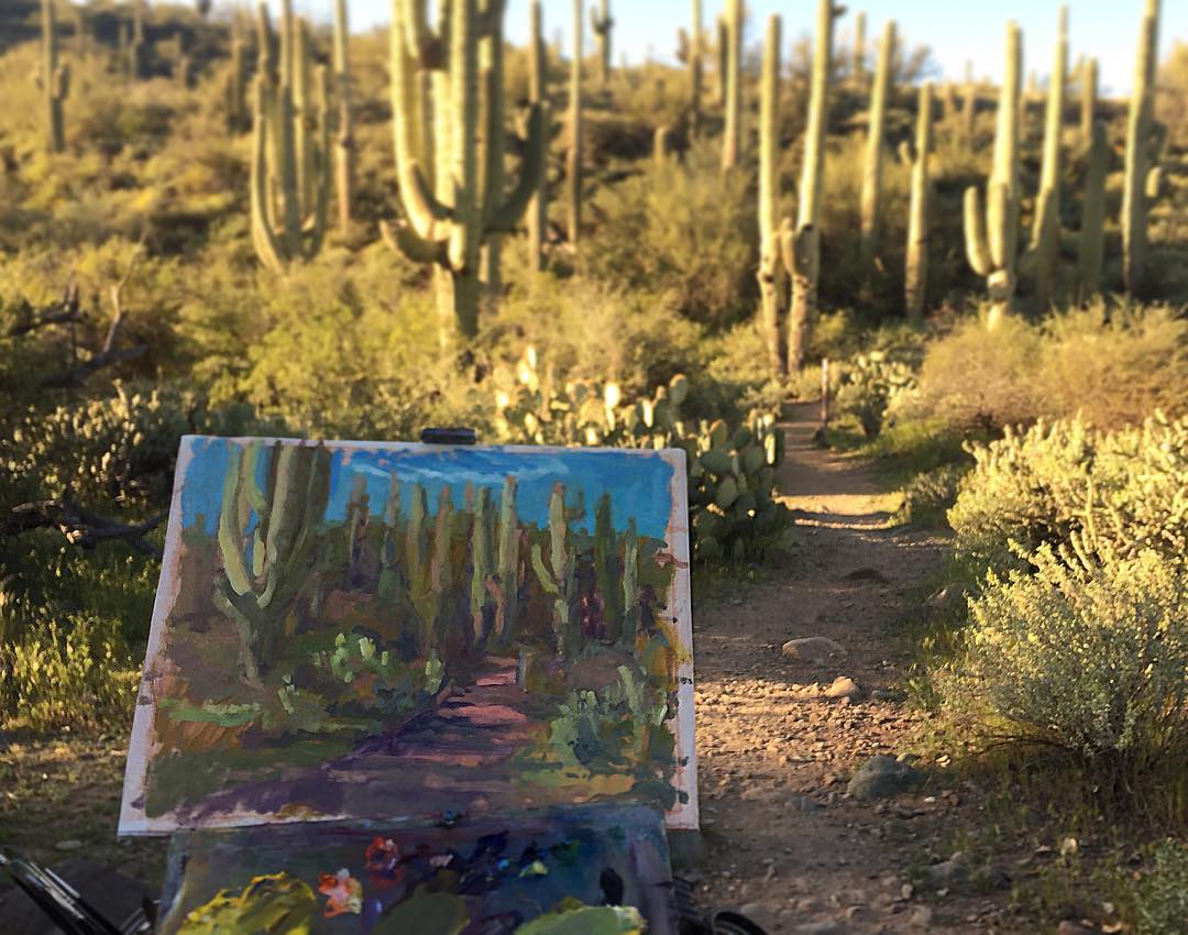 Saguaro cactus. Spur cross park