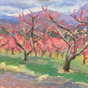 Test Orchard