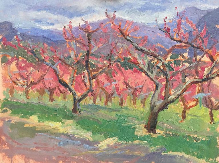 Test Orchard