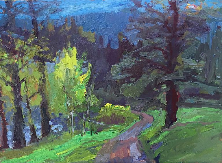 Sawmill backroad