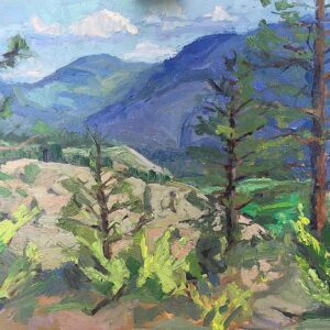 View from Test Orchard