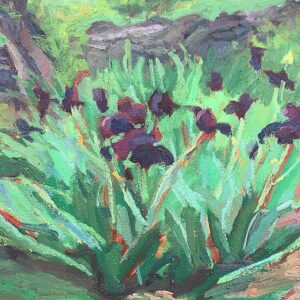 Irises