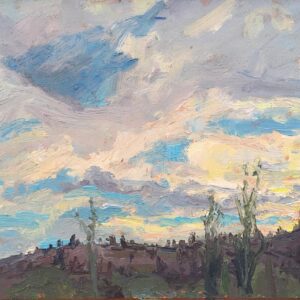 Dusk Clouds