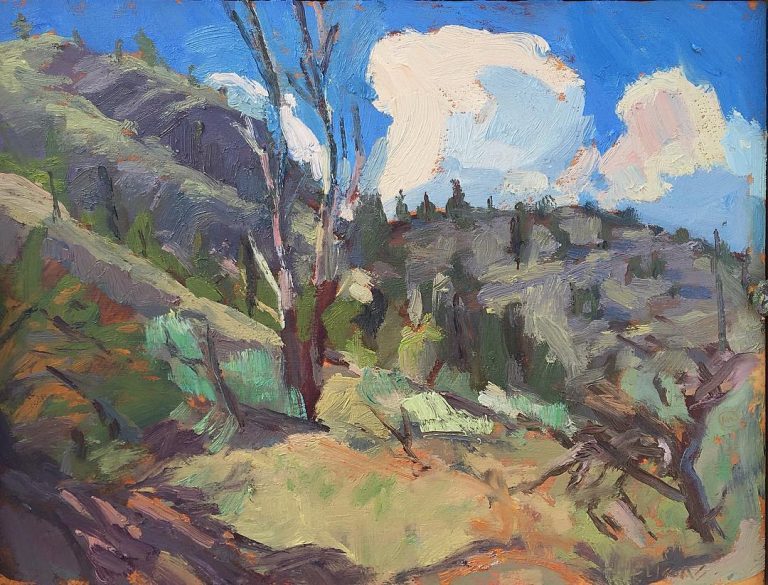 Skaha sky