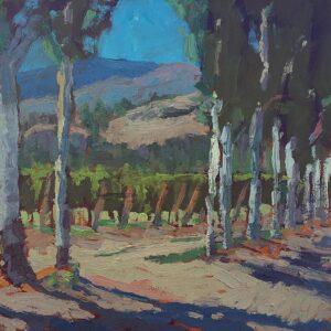 Towering poplars sketch