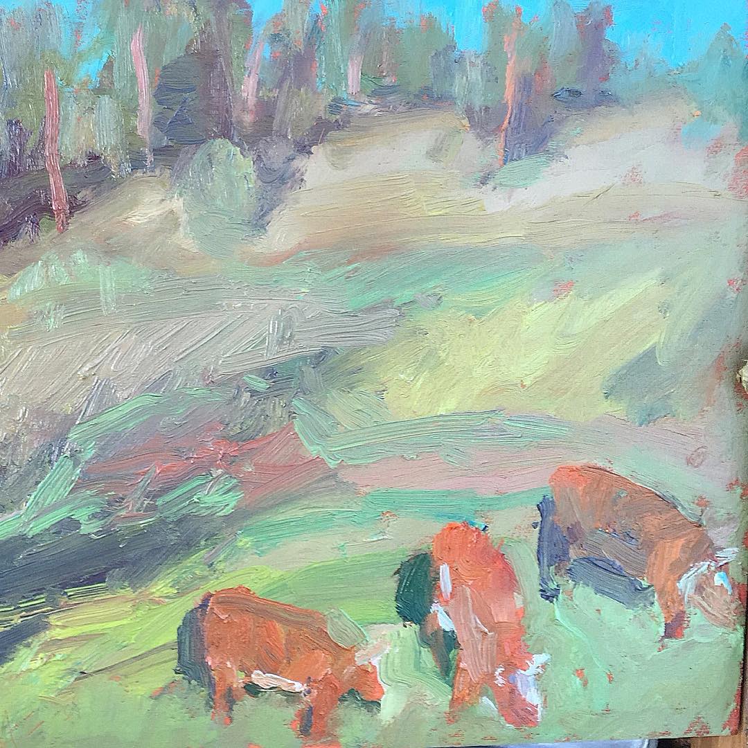 Cows sketch
