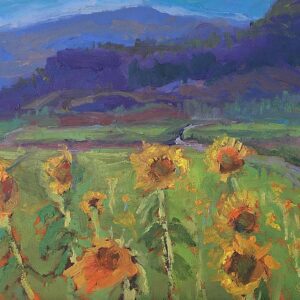 Sunflower field