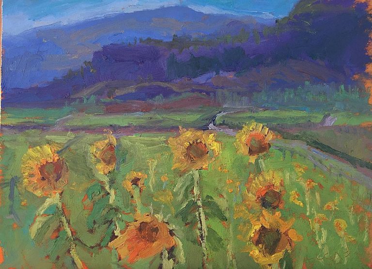 Sunflower field