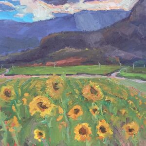 Sunflower Field