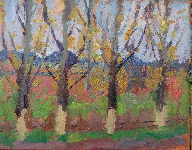 Hopland Trees