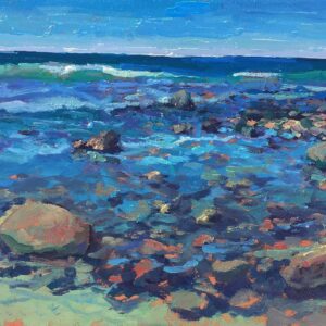 Pescadero shore