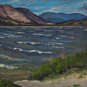 Windy Vaseux Lake