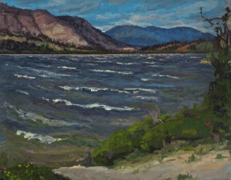 Windy Vaseux Lake