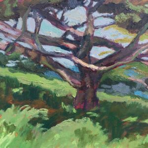 Lower Presidio Park