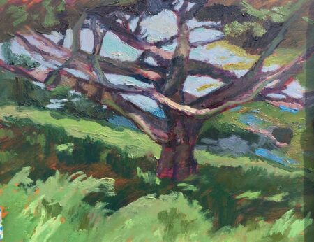 Lower Presidio Park