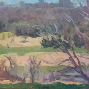 River Valley in spring