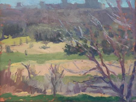 River Valley in spring