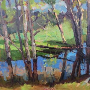 Birch reflections near Lundbom Lake