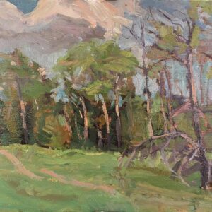 Dead Pine and Birches