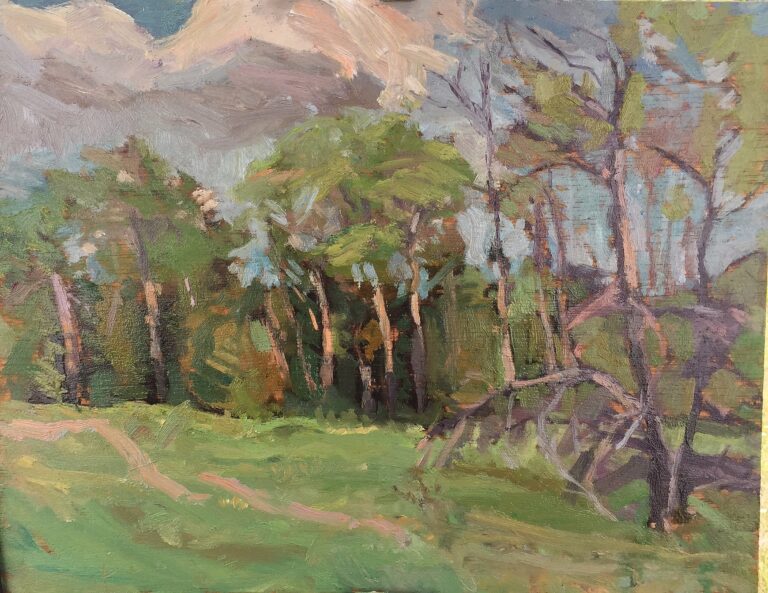 Dead Pine and Birches