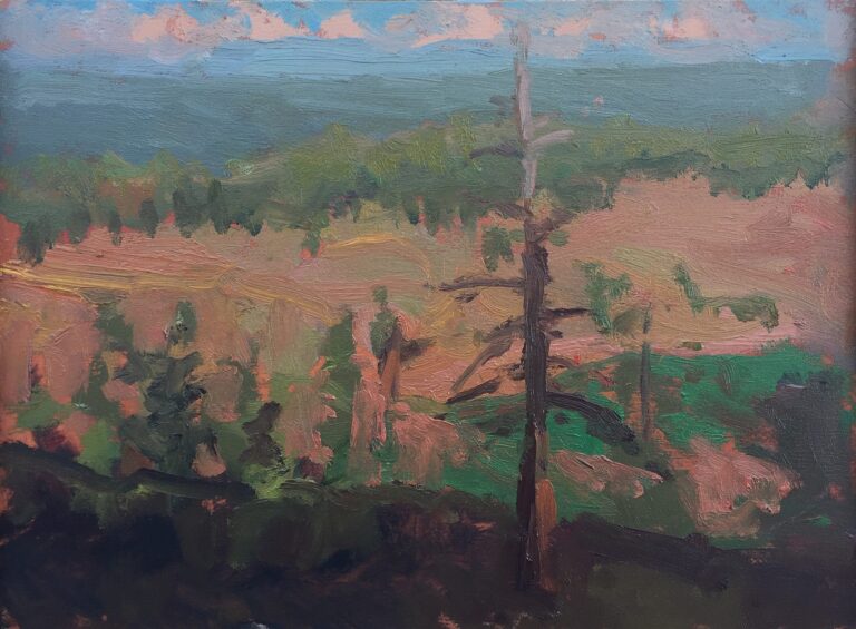 Sun setting on dead pine