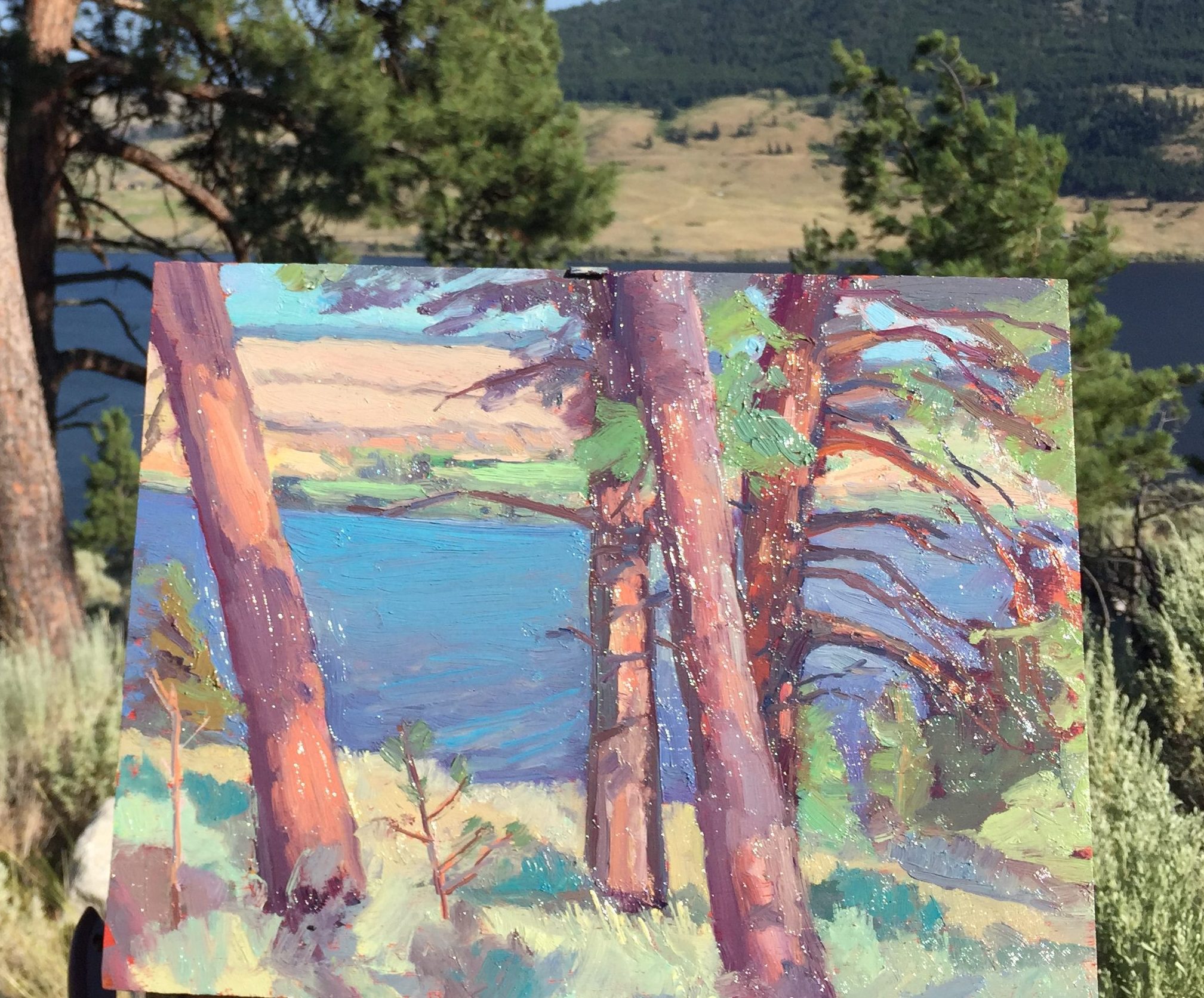 Pines at Nicola Lake. 14 x 11.