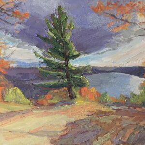 Sun sneaking through, Lake of Bays