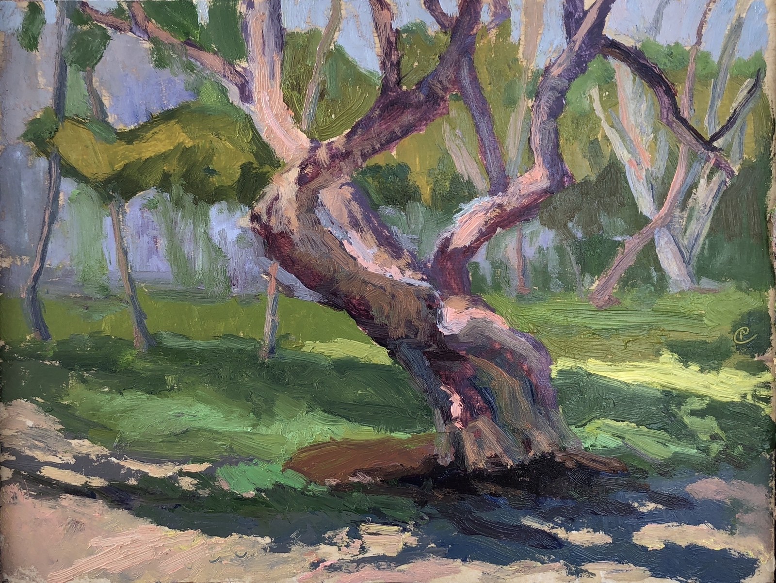 Trees at South Beach, Miami, oil on birch panel