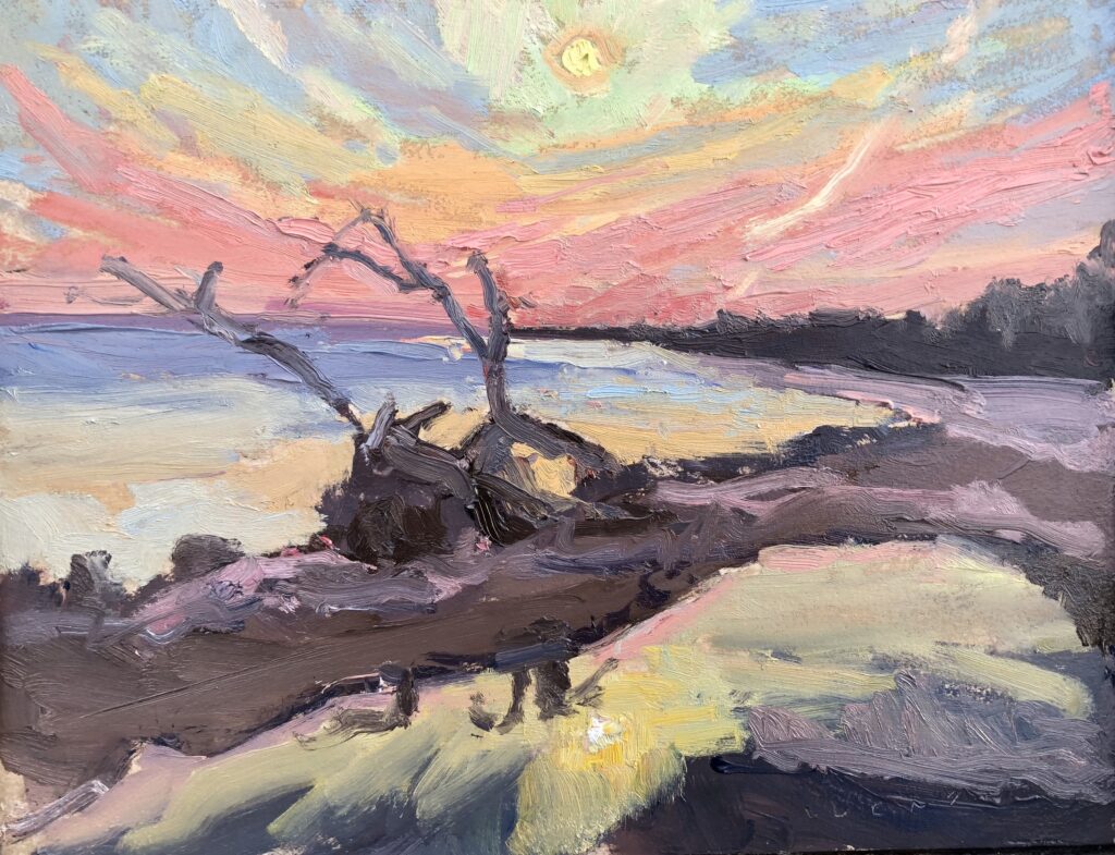 Dead Trees, Florida Keys