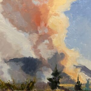 Eagle Bluff Fire 2019