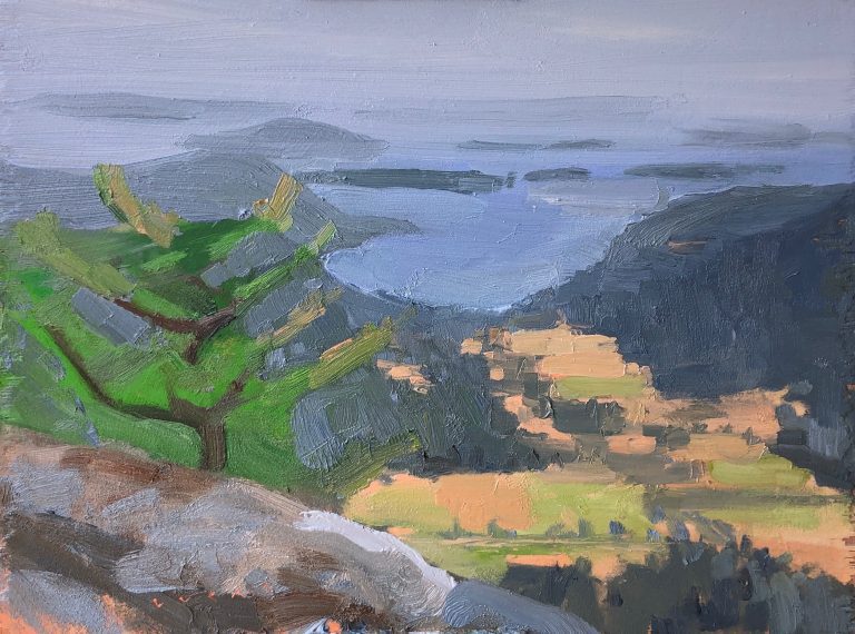 View From Mt. Maxwell, Salt Spring Island