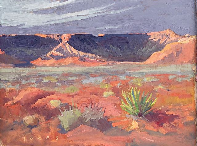 Morning Desert, Zion
