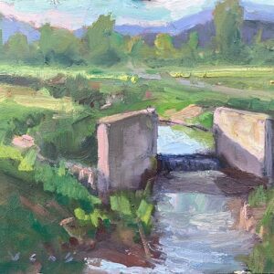 Paradise Weir