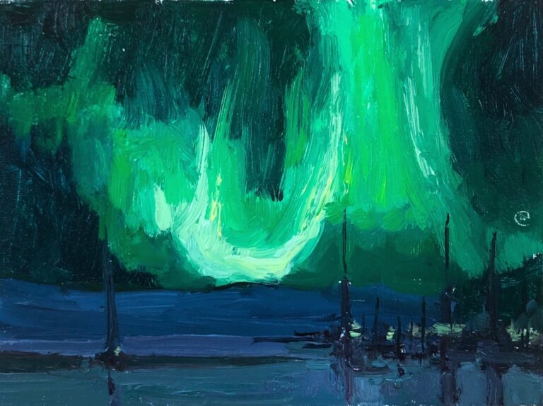 Northern Lights over Cowichan Bay