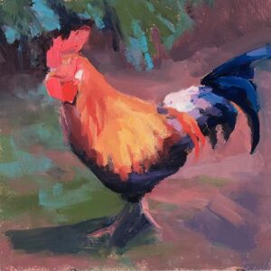 Hawaiian cock