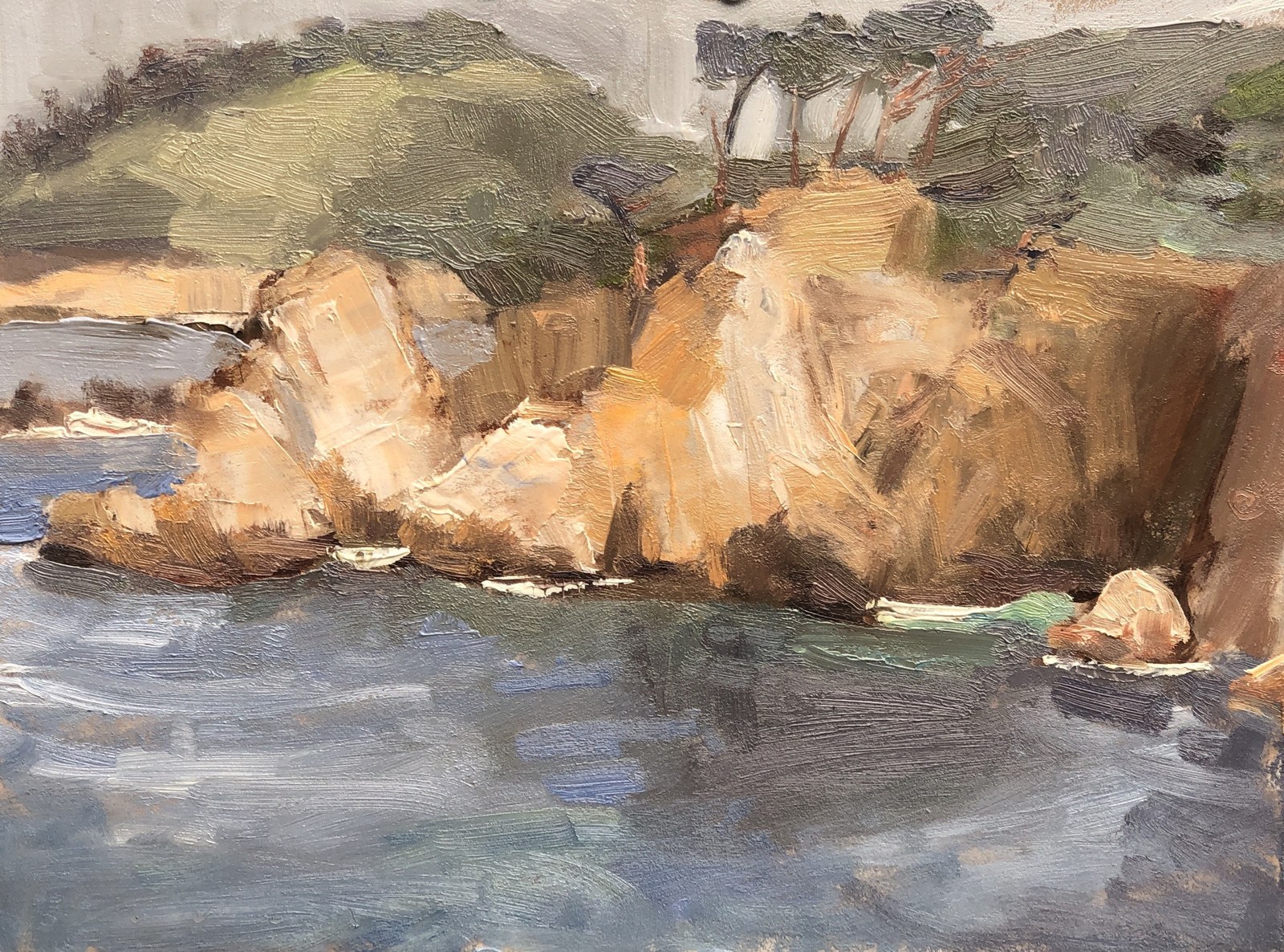 Cliffs at Point Lobos, oil on birch panel