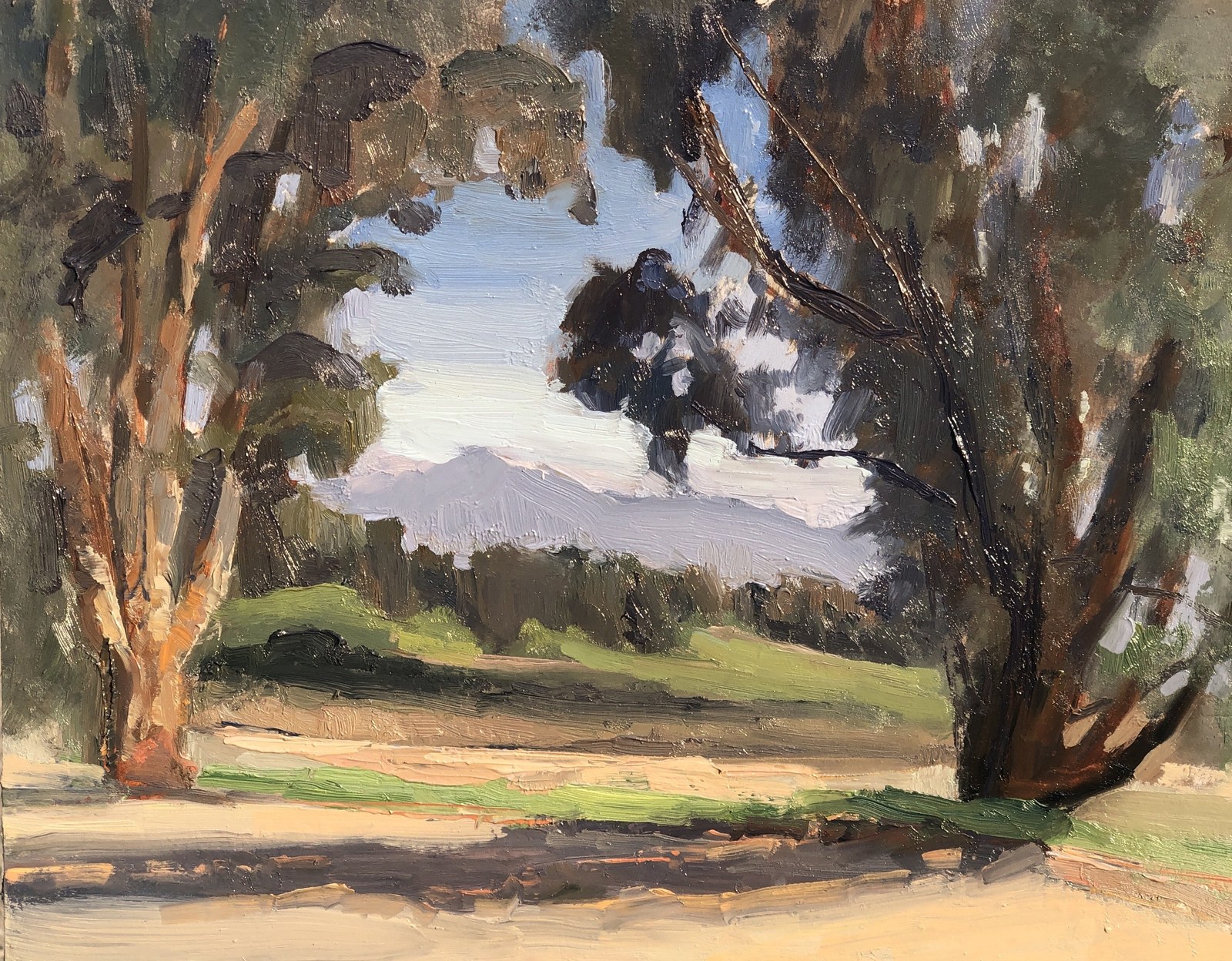 Eucalyptus Trees near Lake Casitas, oil on birch panel