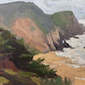 Gray Whale Cove