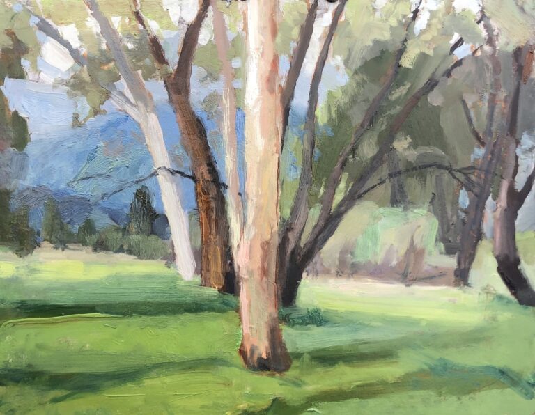Eucalyptus Trees at Ojai Meadows Preserve