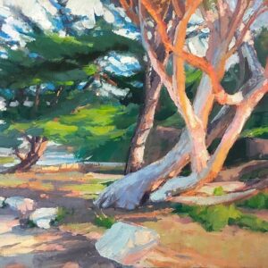 Evening Glow on Carmel Trees