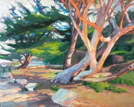 Evening Glow on Carmel Trees