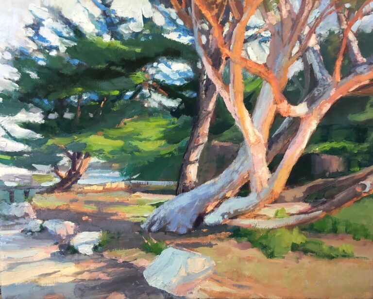 Evening Glow on Carmel Trees
