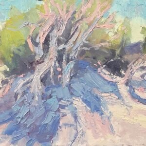 Windswept Tree at Tecolote