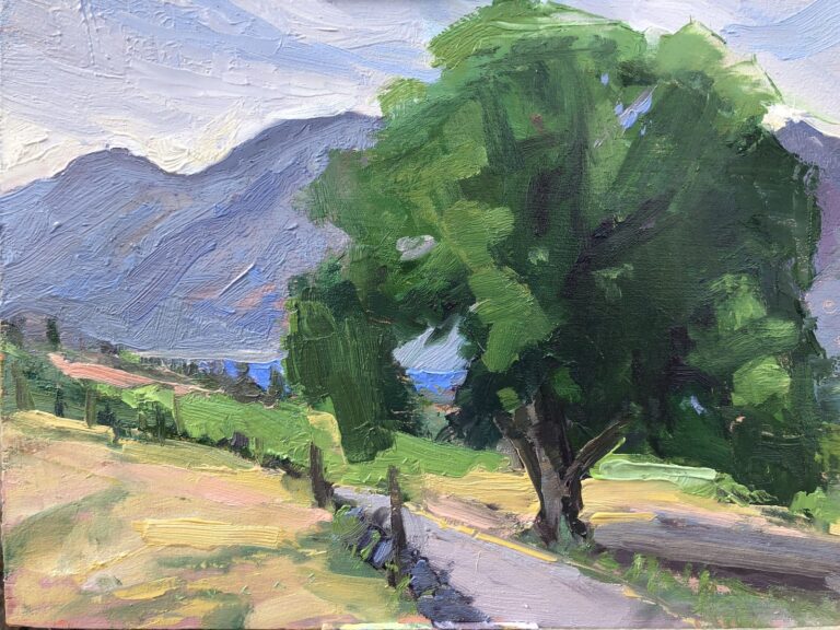 Tree at Summerland Ornamental Gardens