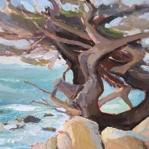 Ghost Tree off Pebble Beach