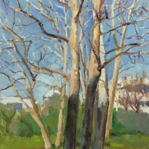 Eucalyptus Trees at The Getty