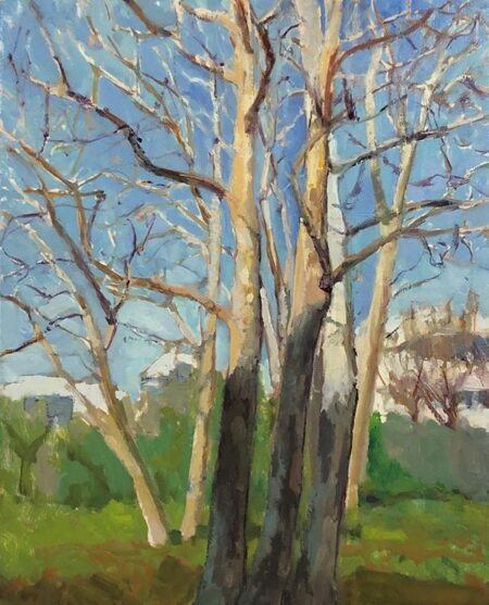 Eucalyptus Trees at The Getty